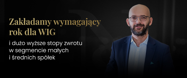 Grafika: Zakładamy wymagający rok dla WIG i dużo wyższe stopy zwrotu w segmencie małych i średnich sp&oacute;łek